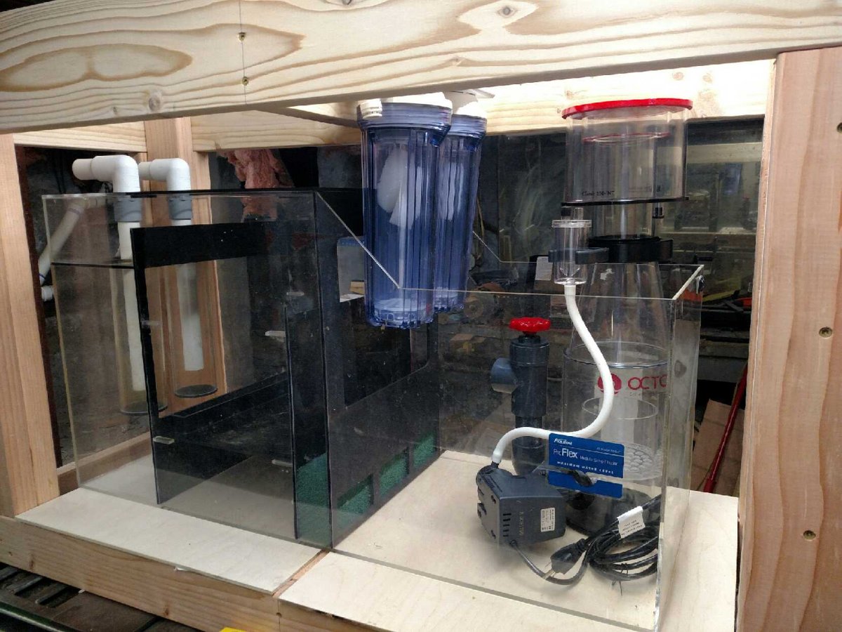 Stand4.jpg