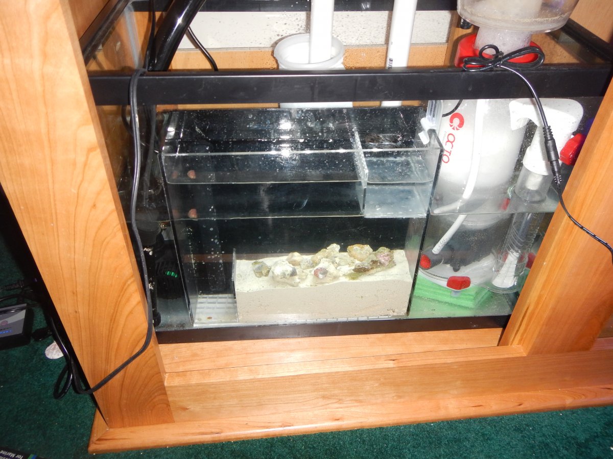 Starting Setup.JPG