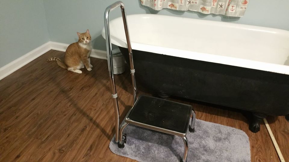 step stool.jpg