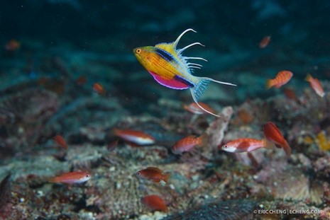 STFlWrasse3.jpeg