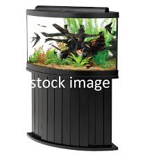 stock image.jpg