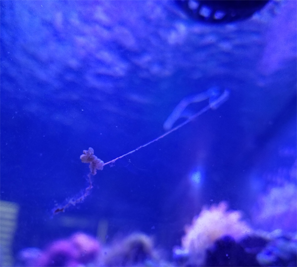 string2.jpg