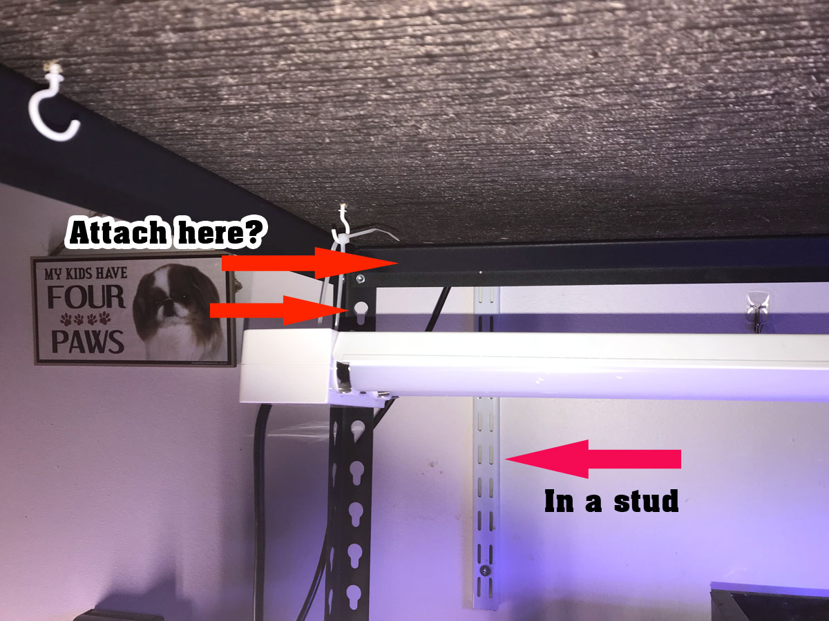 studs.jpg