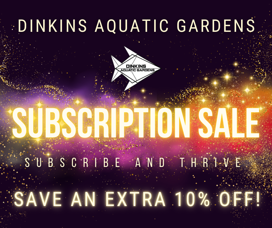 Subscription sale.png