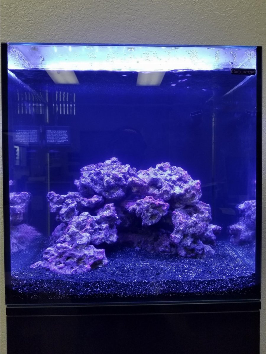 substrate and water.jpg
