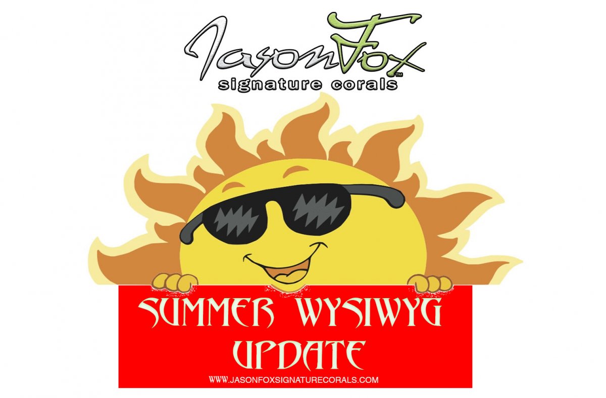 SUMMER.jpg