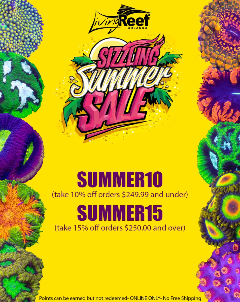summer sale social copy.jpg