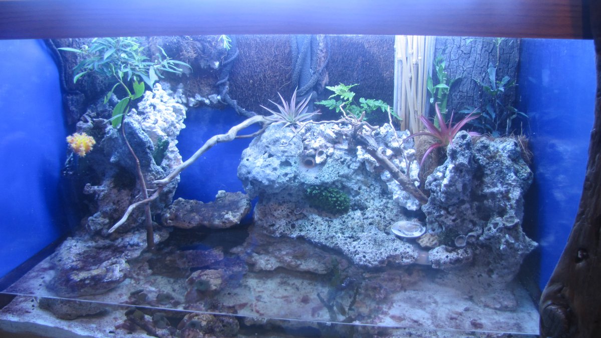 Summer2013 021.jpg