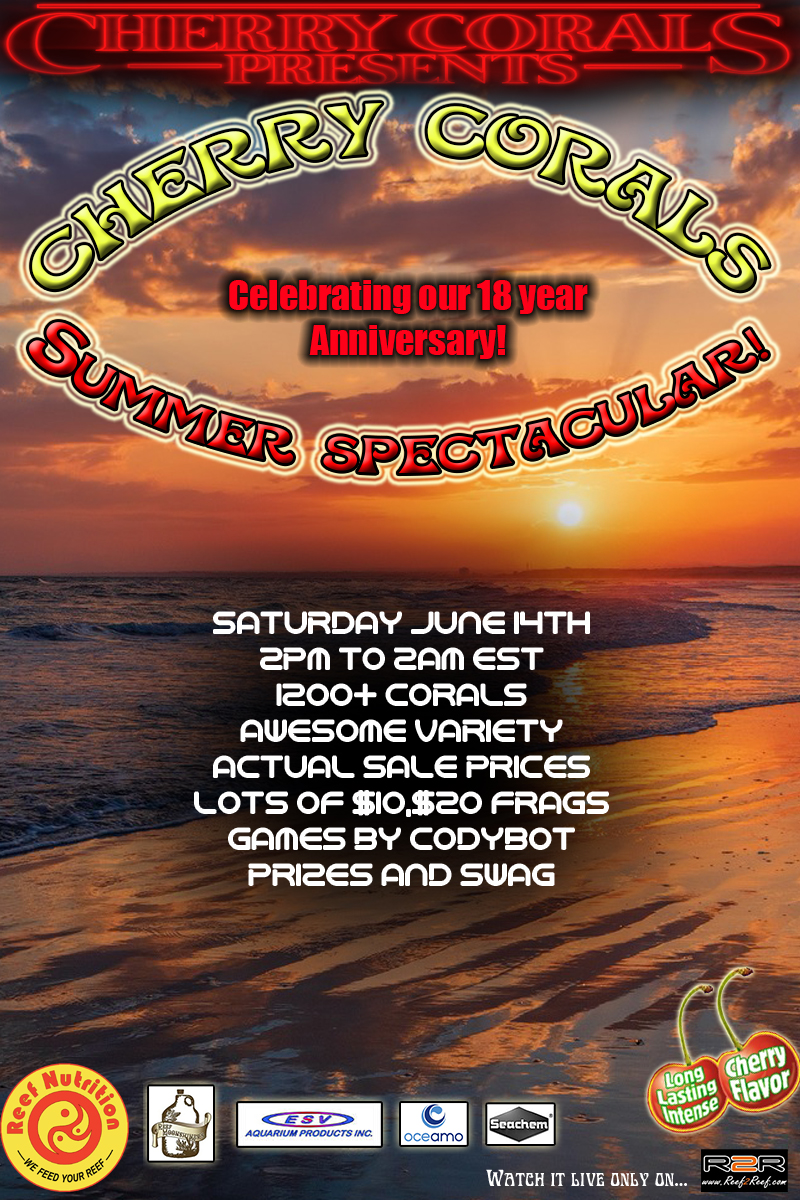 Summerspectacular2024.jpg