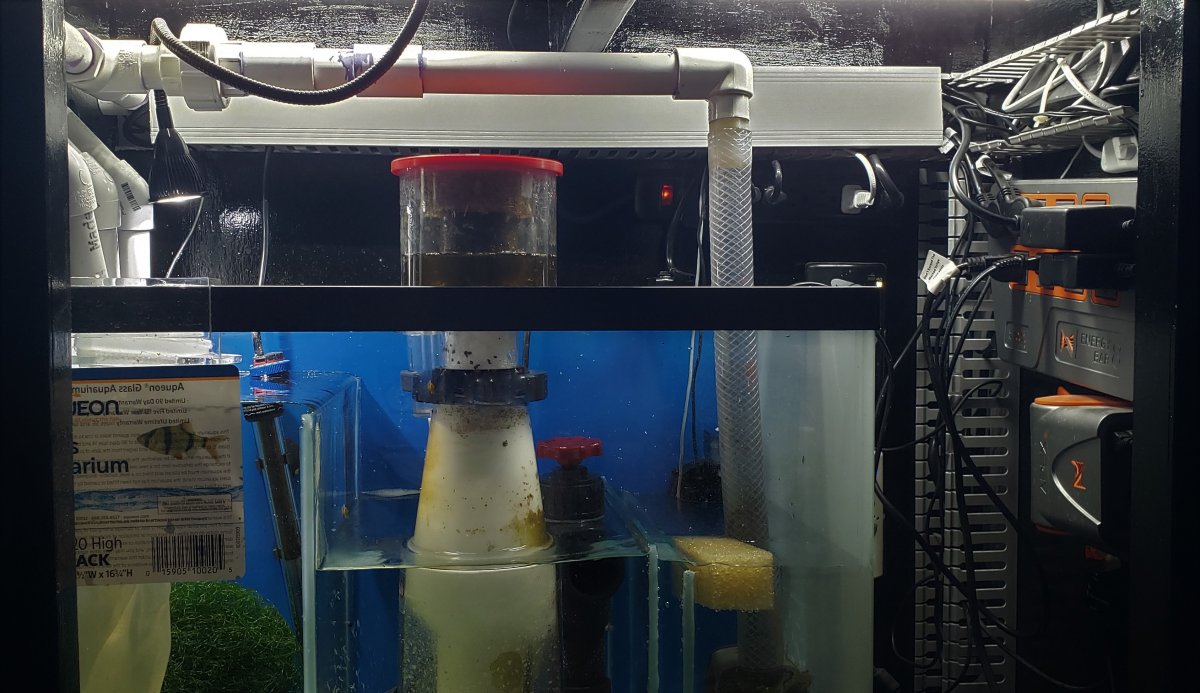 sump[1].jpg