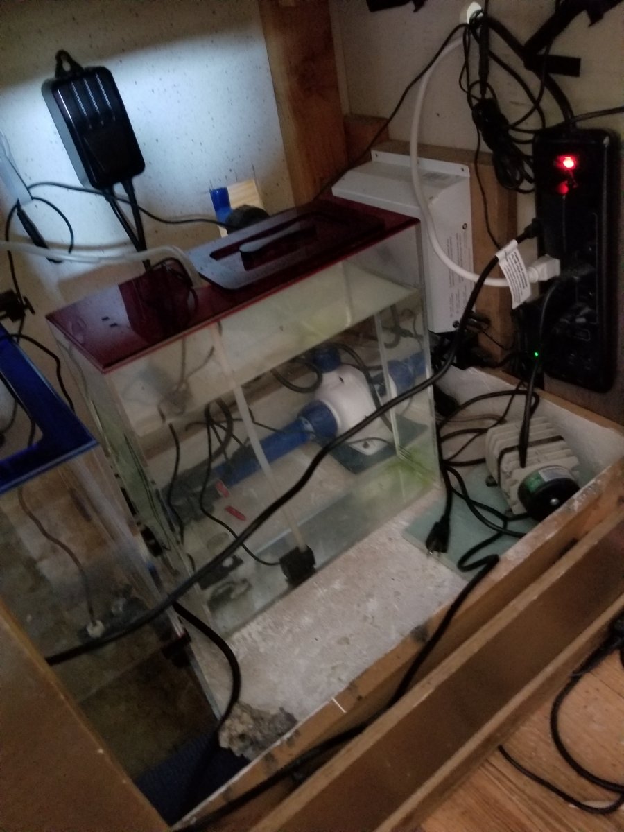 Sump 11.jpg