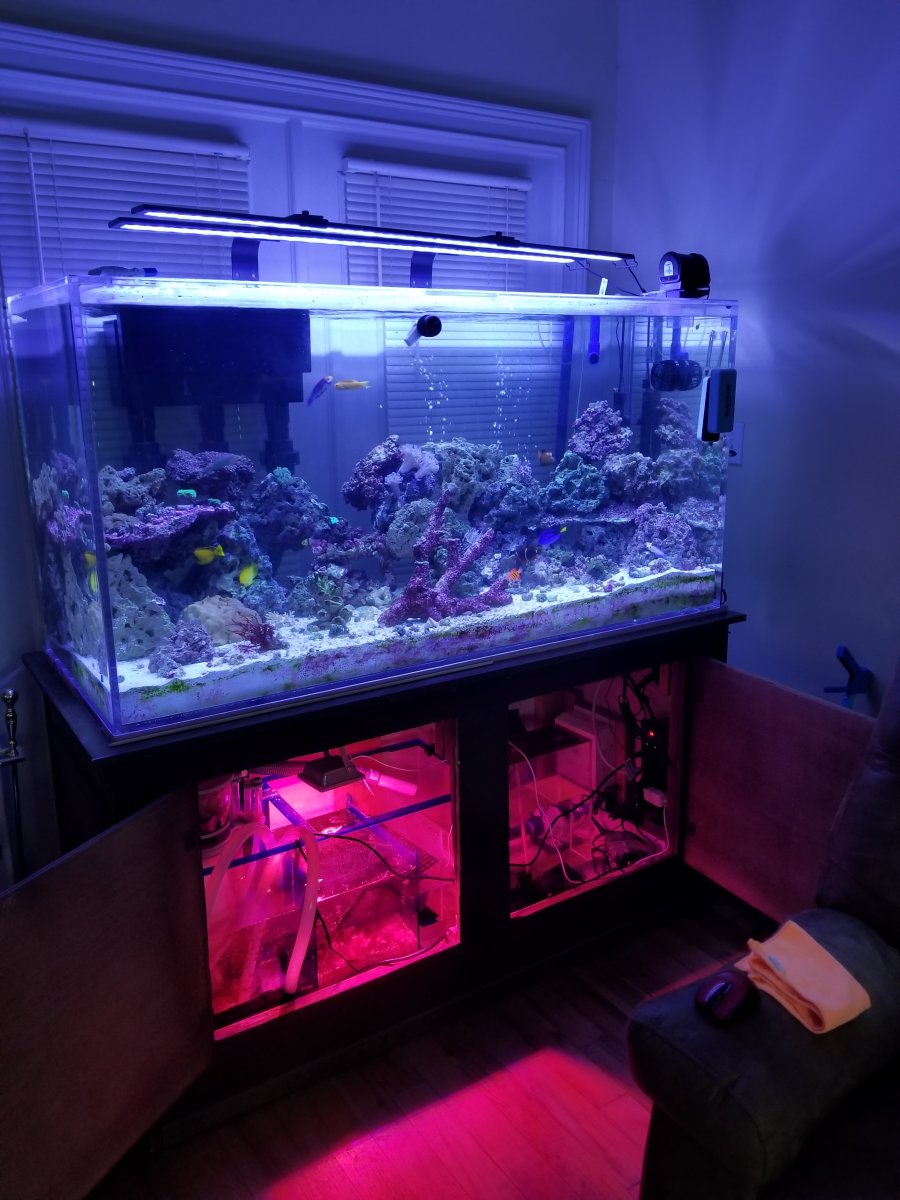 Sump 12.jpg