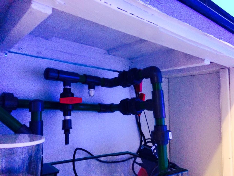 sump 16.jpg