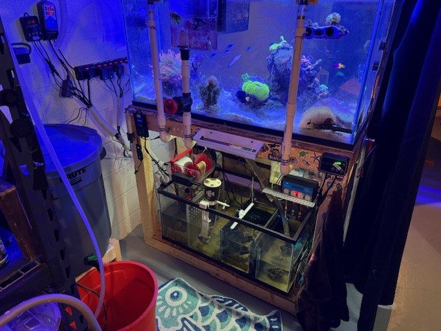 Sump 2.jpg