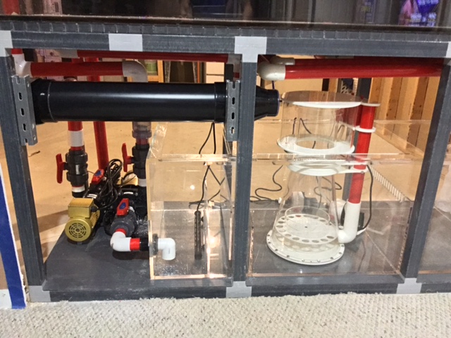Sump 2.JPG