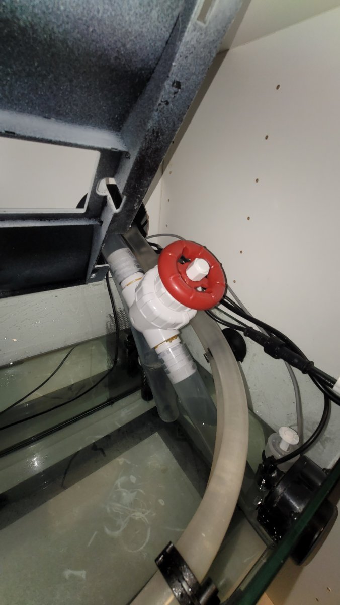 sump (3).jpg