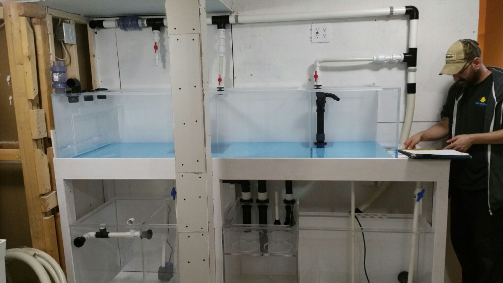 Sump 5.jpg