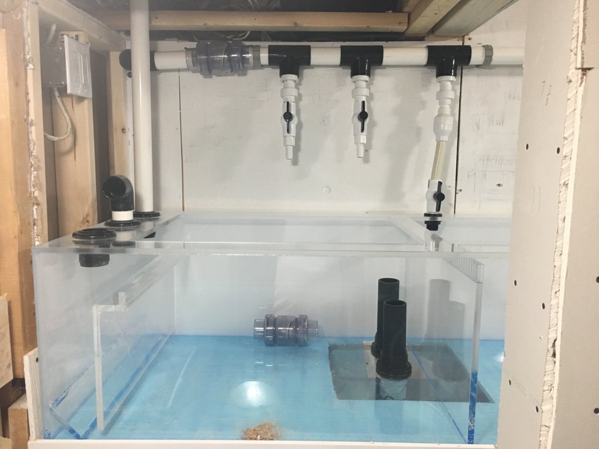 Sump 6.jpg