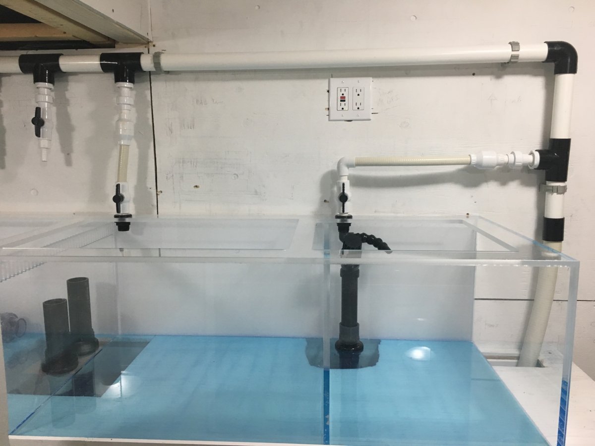 Sump 7.jpg