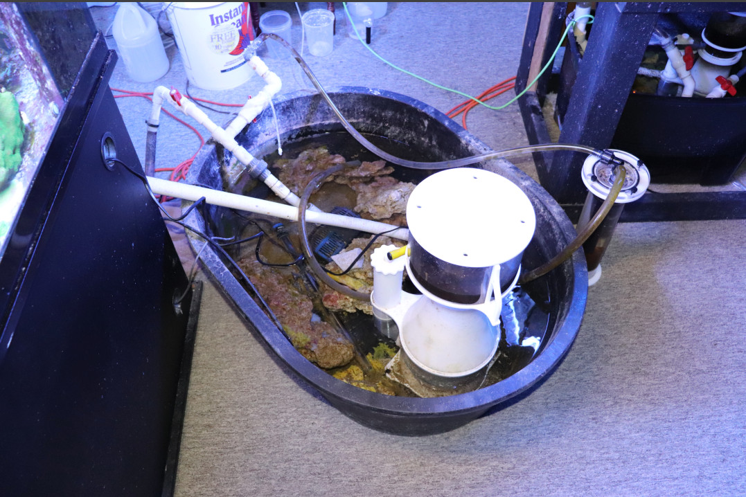 sump 80g.jpg
