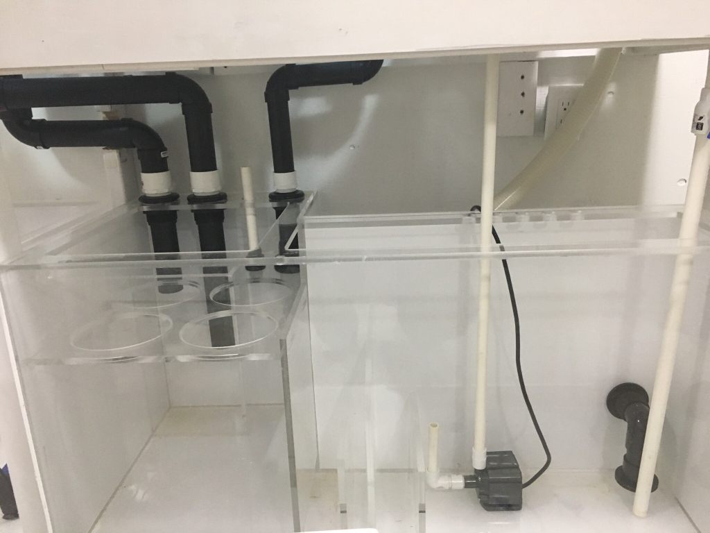 Sump 9.jpg