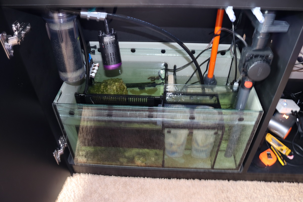 Sump Before.JPG
