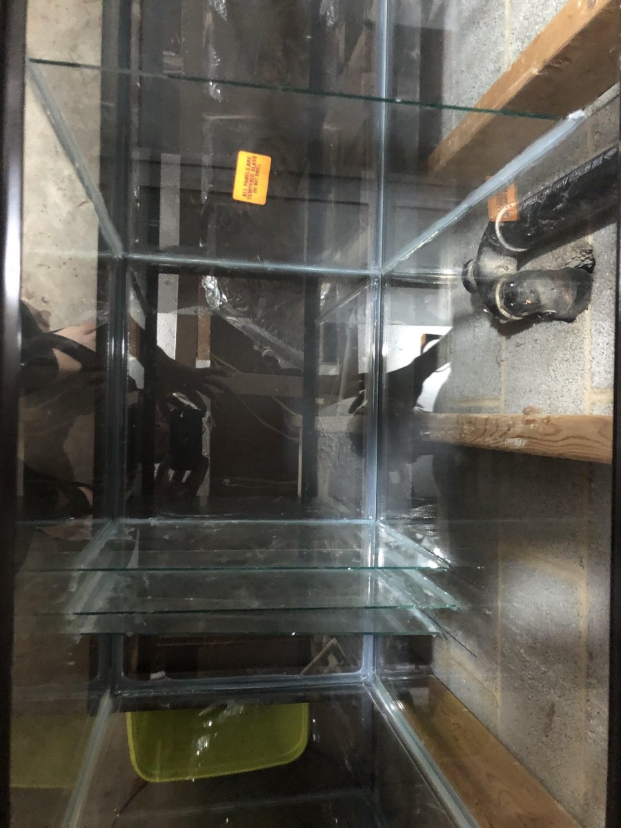 sump bubble trap.jpg