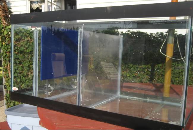 Sump Build.jpg