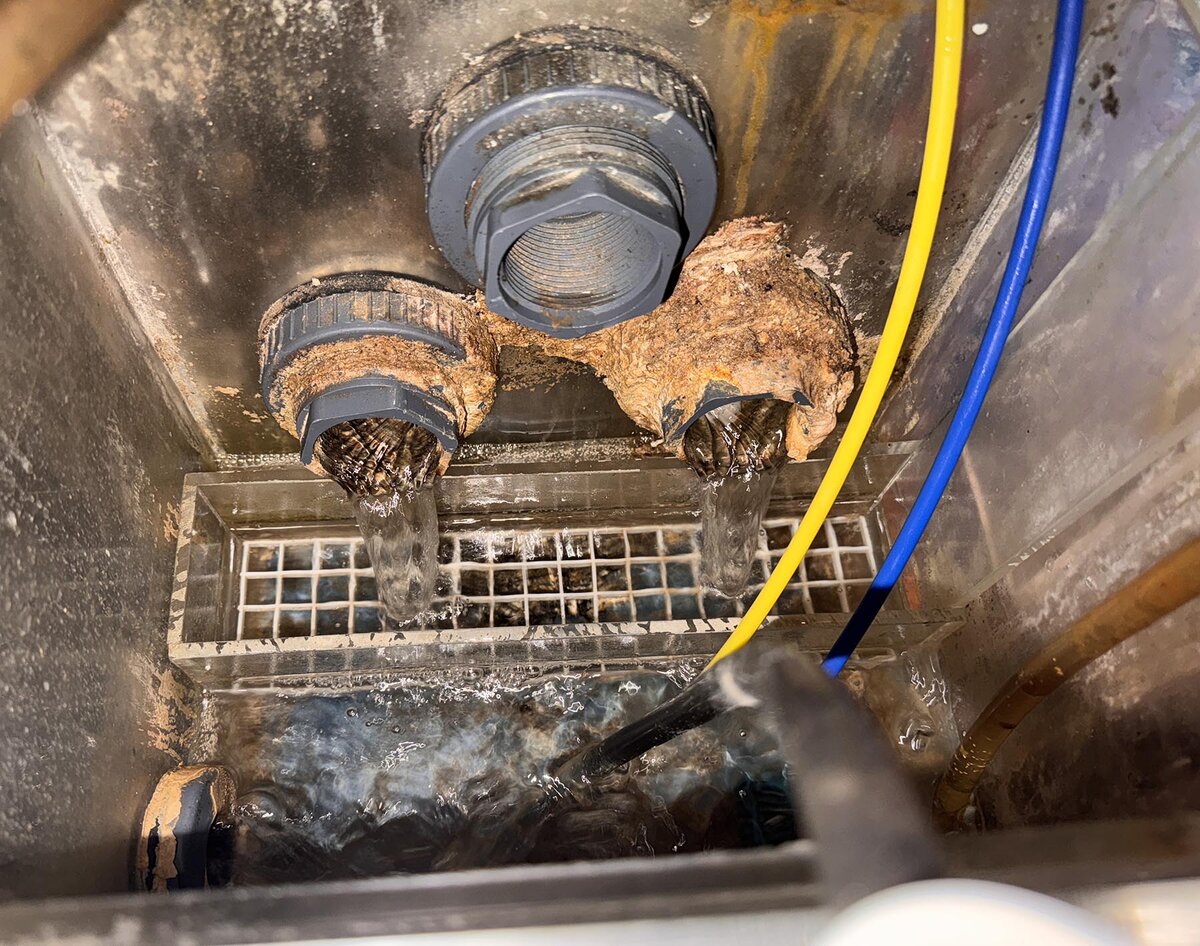 Sump compartment 3.JPG