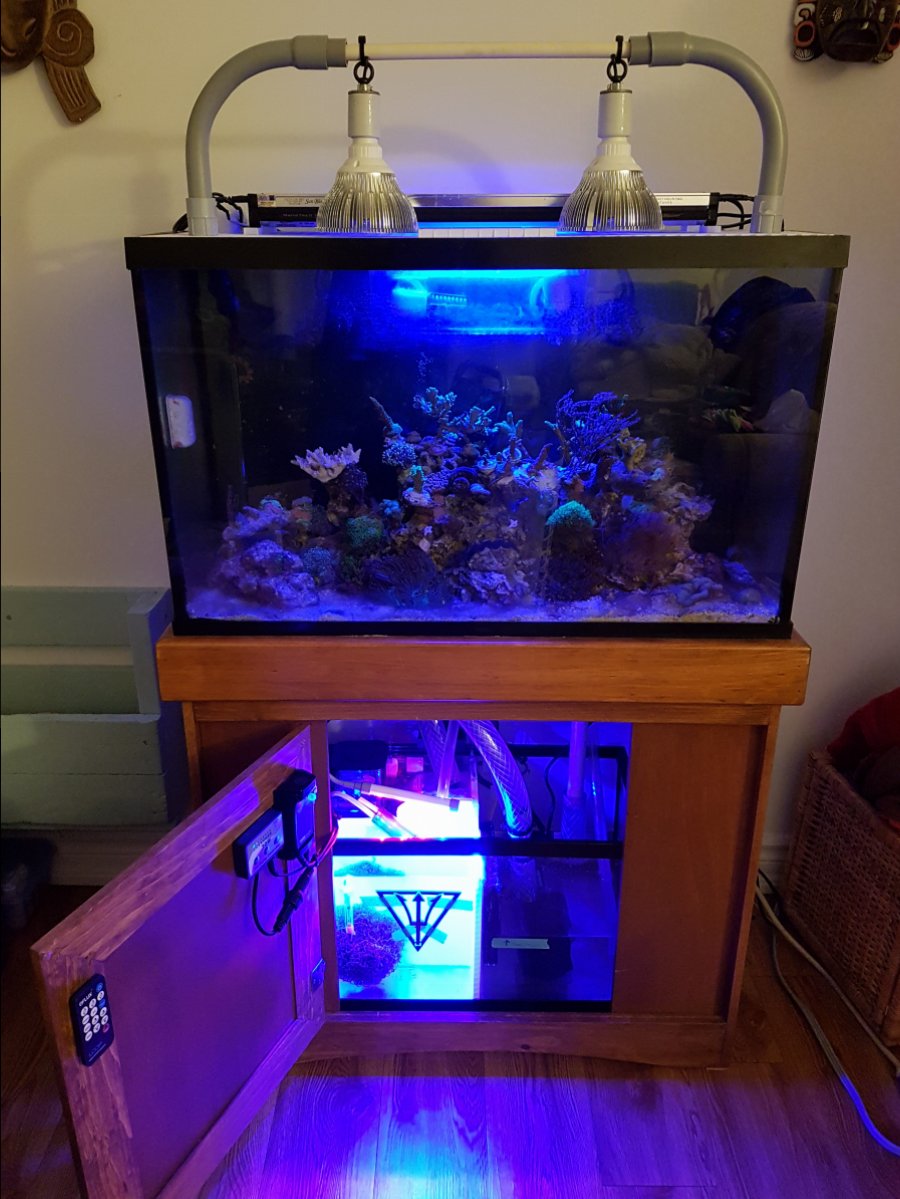 Sump installed.jpg