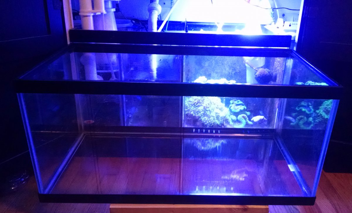 Sump Issue.jpg
