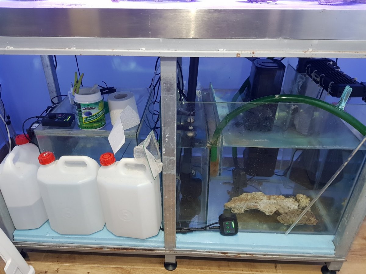 sump.jpg