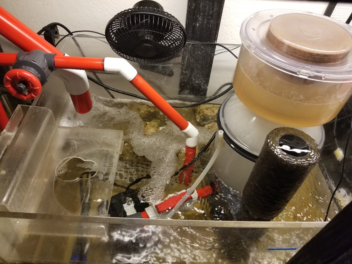 Sump.jpg
