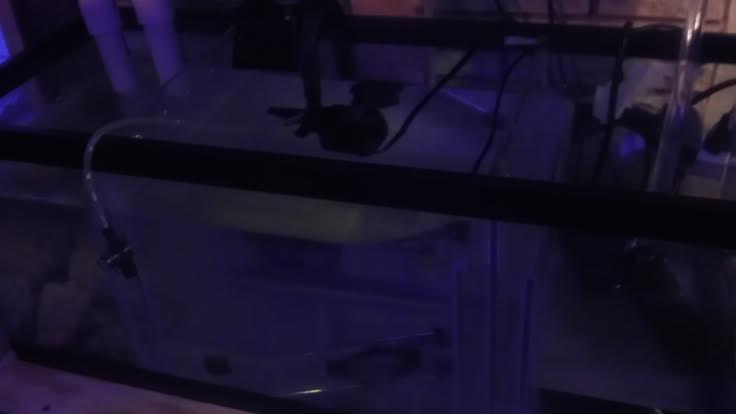 sump.jpg
