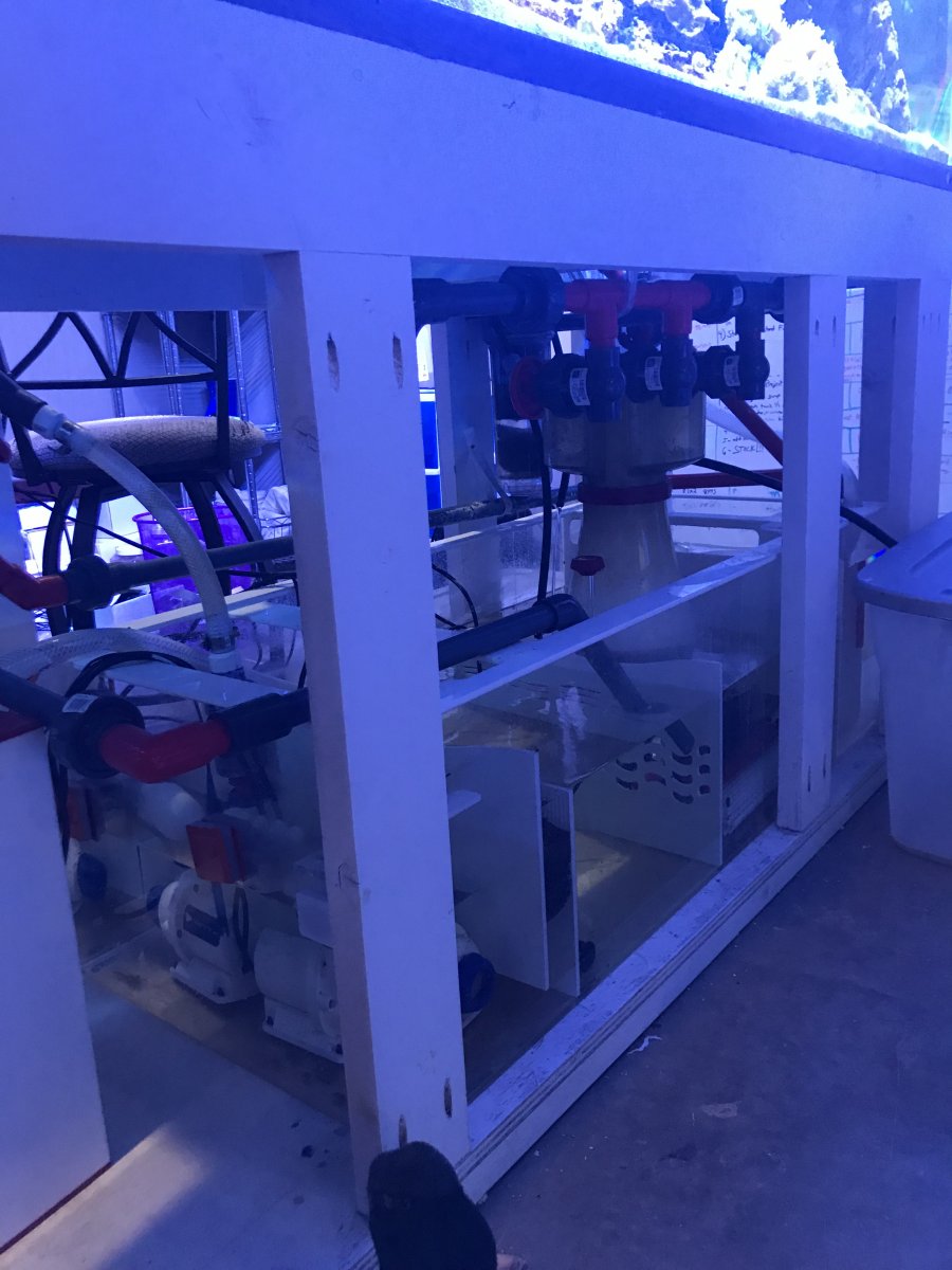 Sump.jpg