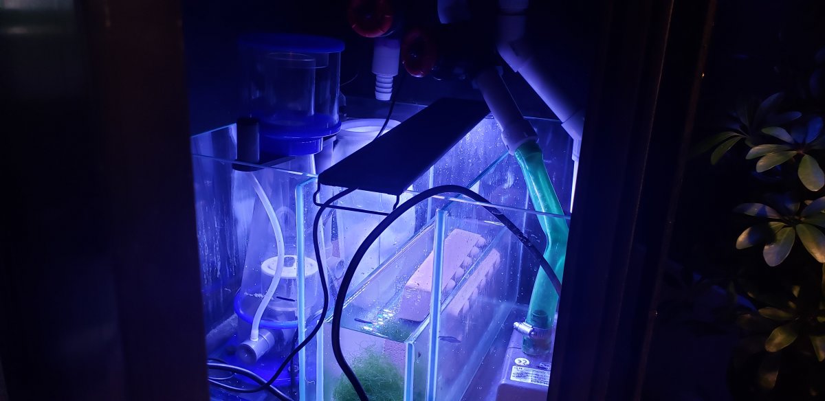 Sump.jpg