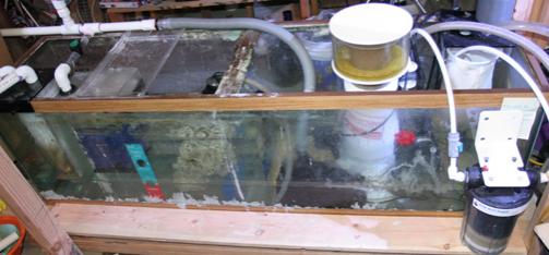sump.jpg