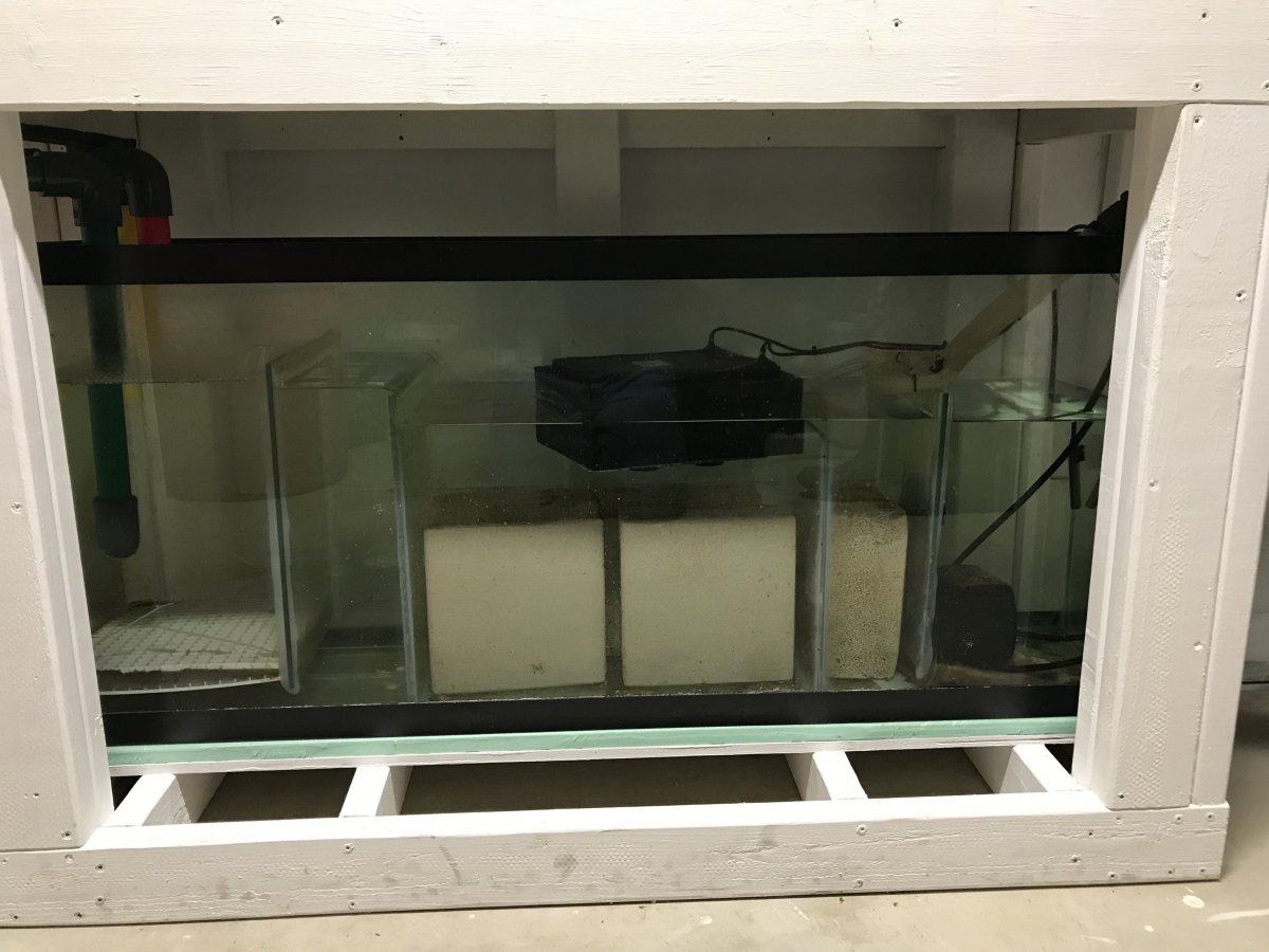 Algae Turf Scrubber VS Chaeto Reactor: Which would you prefer and why ...