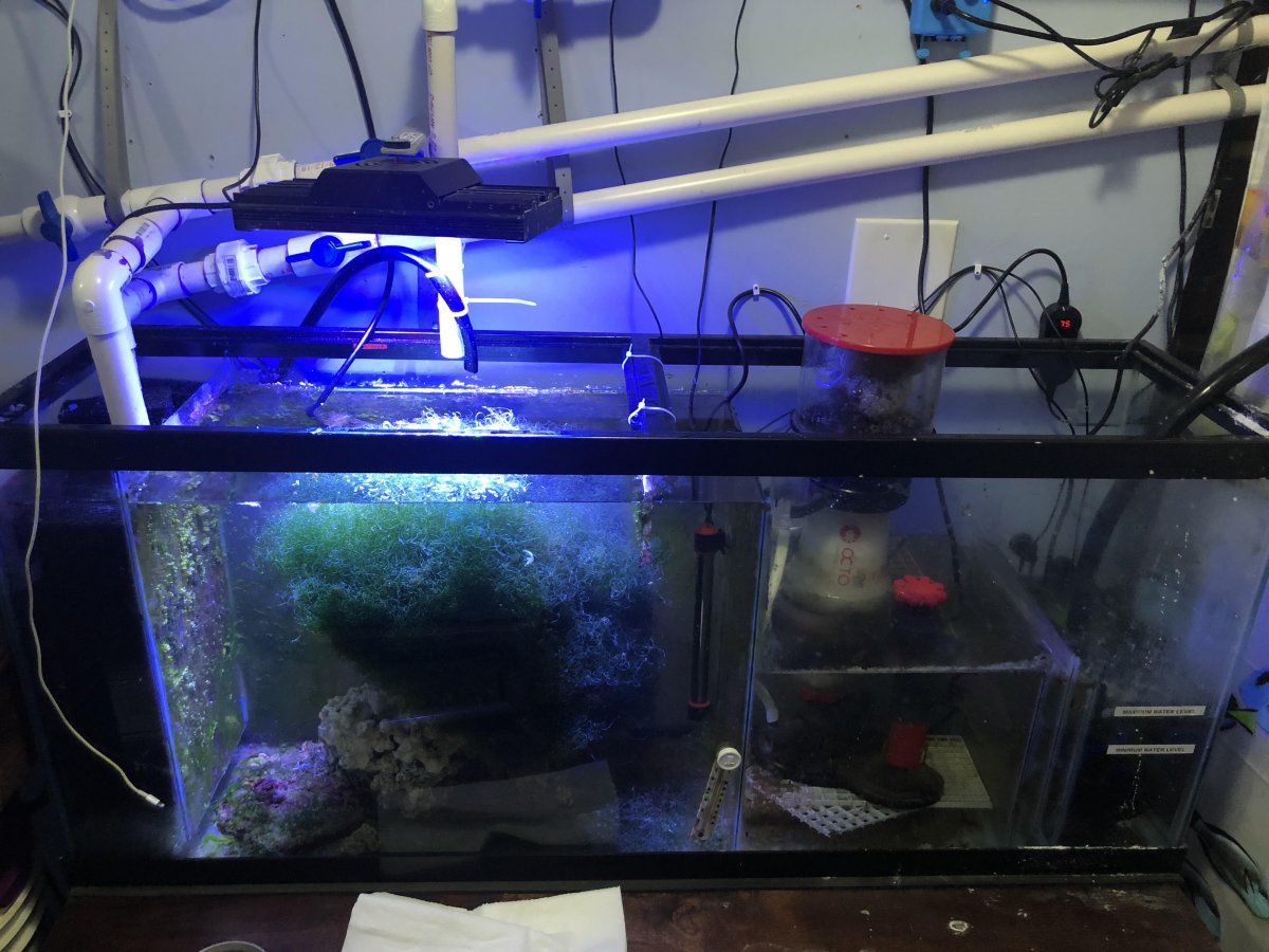 sump.jpg