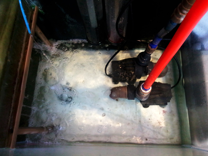 Sump.jpg