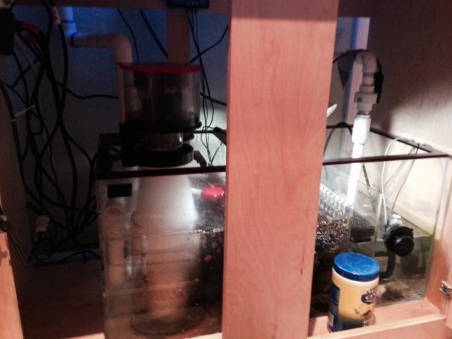 Sump.jpg