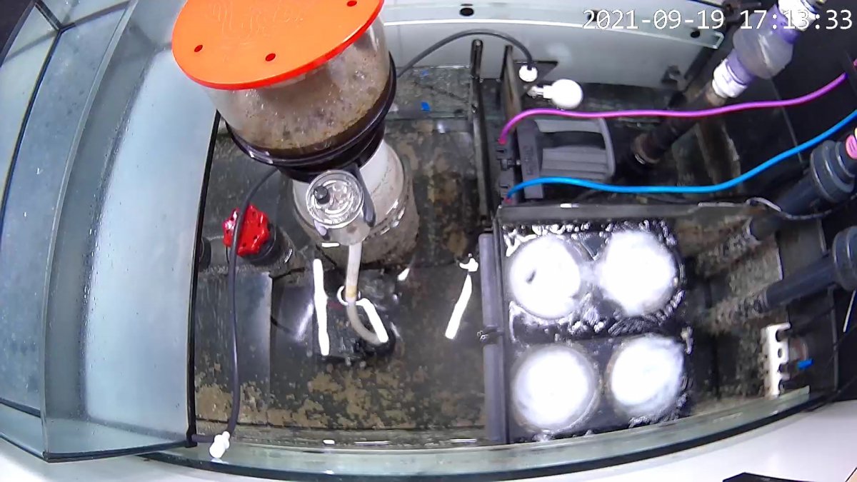 Sump.JPG