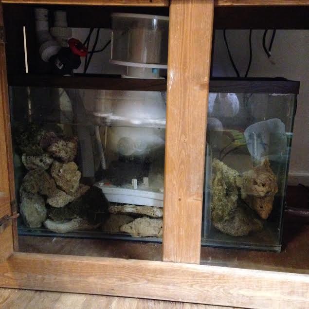 Sump.jpg