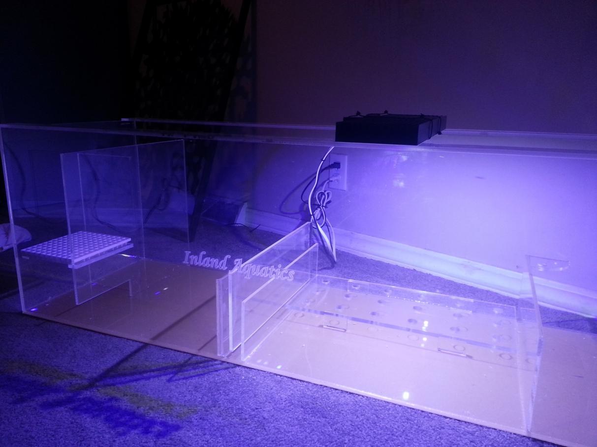 sump.jpg