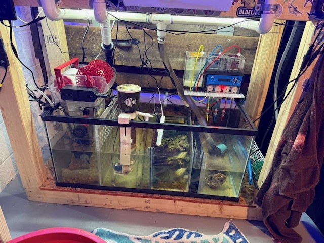 Sump.jpg