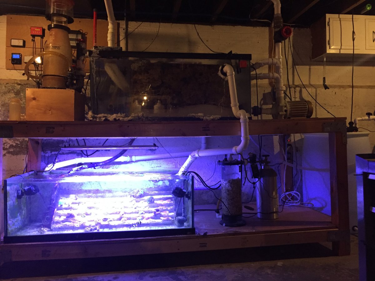 Sump.JPG