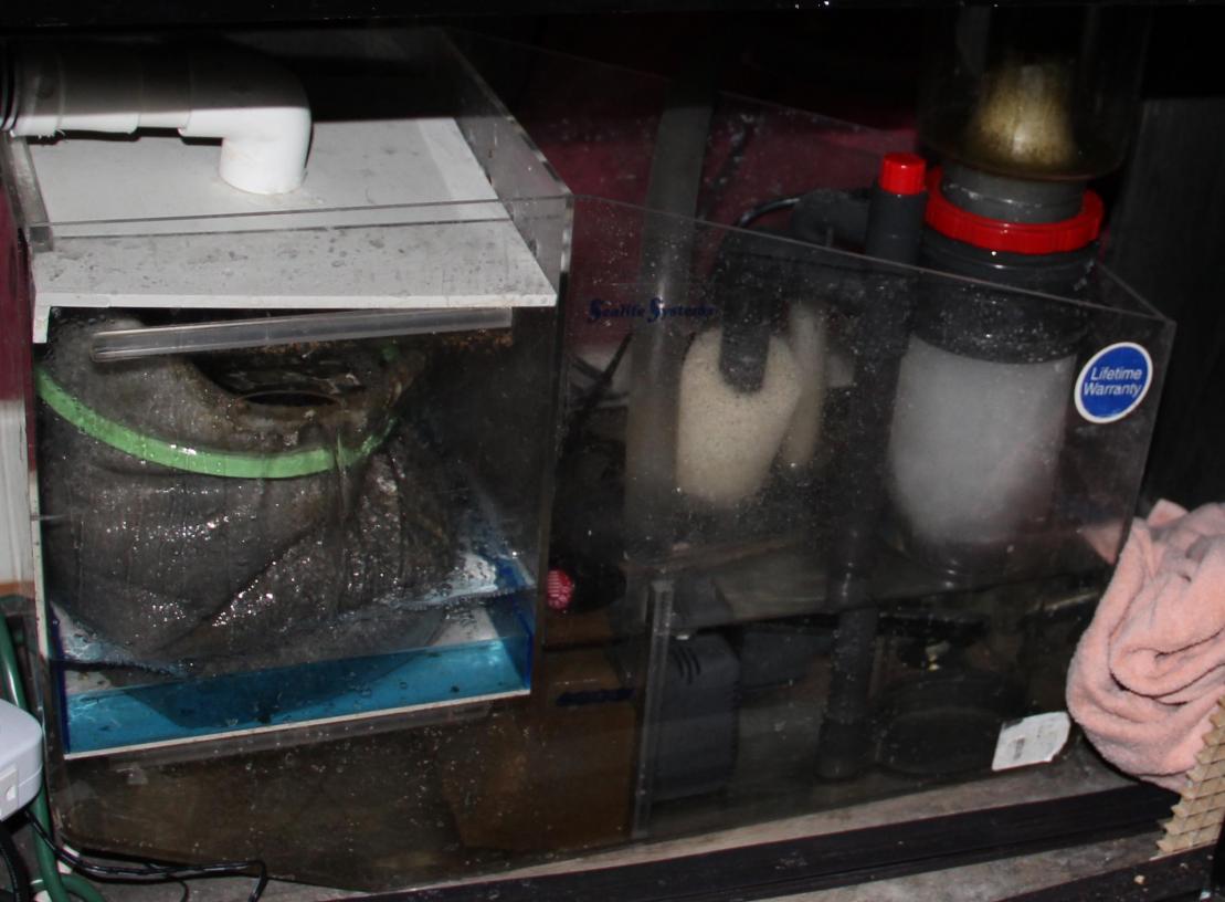 sump.jpg
