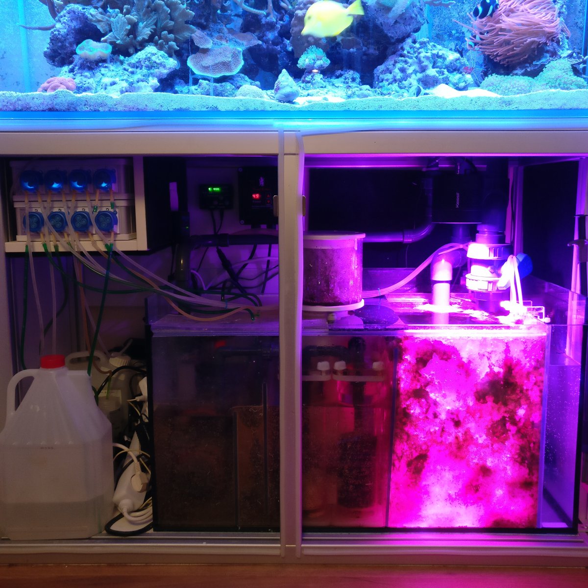 sump.jpg