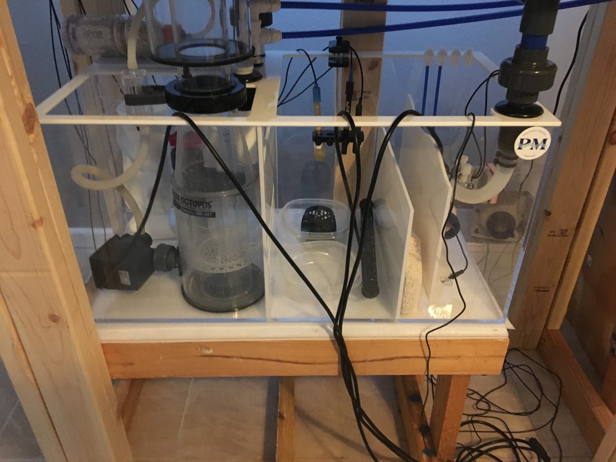 Sump.jpg