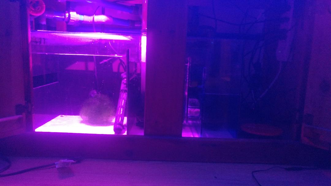 sump.jpg